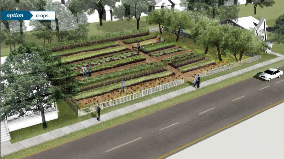 Revitalization Option 1 Urban Agriculture:  Locally produced food is more sustainable for the environment and empowering for residents.  Being in control of ones food production and consumption is a very effective way to grow stronger attachment to ones neighborhood.